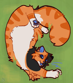 feral cat (£13)