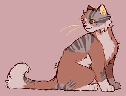 feral cat (£12)