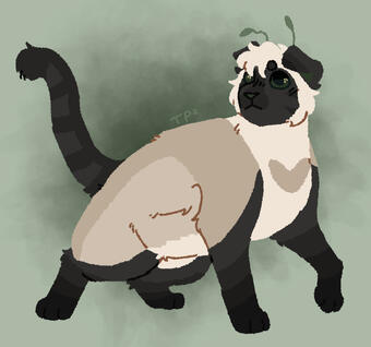 feral cat lineless (£15)