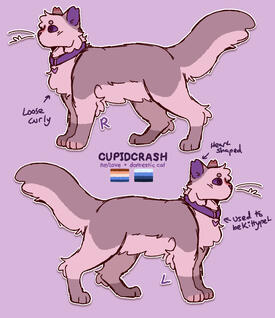 feral cat design + ref (£25)