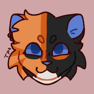 feral cat (£6)
